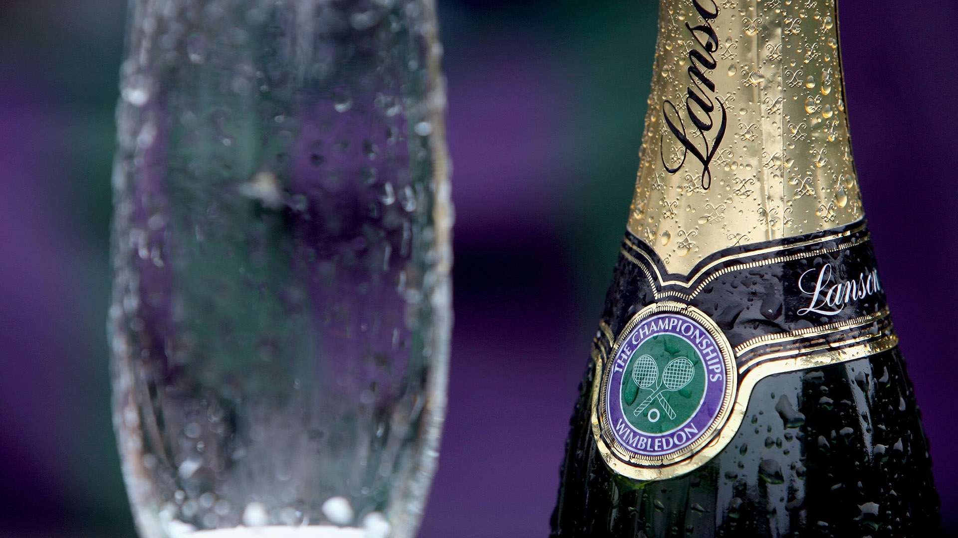 中迅速恢复 中迅速恢复