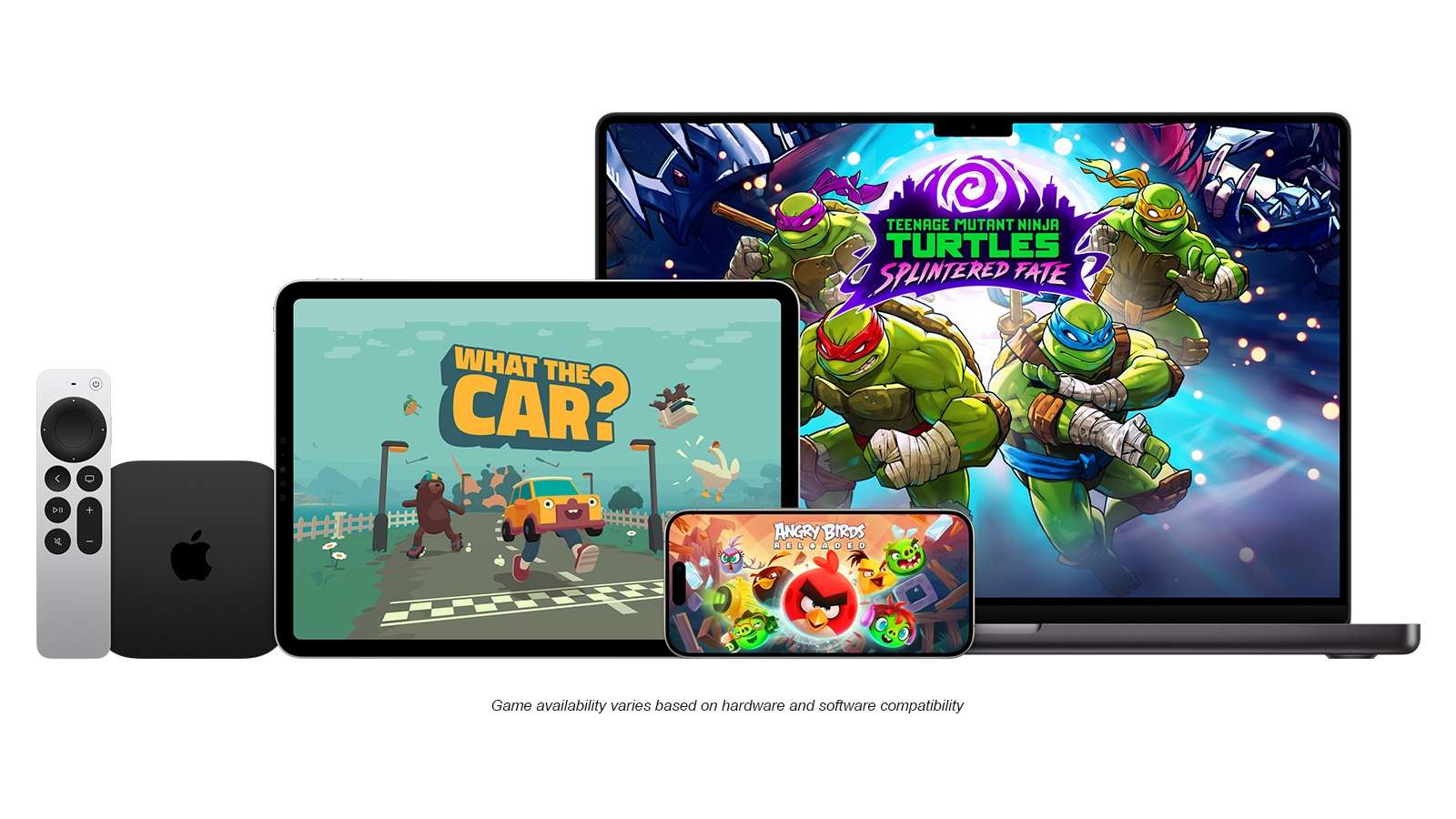 浙江队重回 浙江队重回